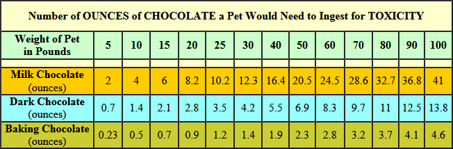 How Chocolate Affects Dogs