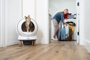 Innovative Cat Litter Boxes