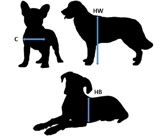 How the Puppy Size Calculator Works