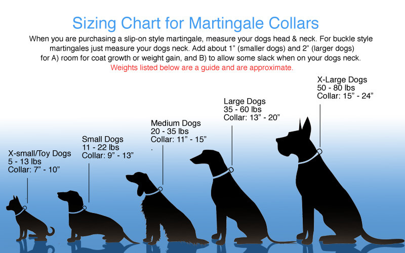 Why Use Our Dog Size Calculator