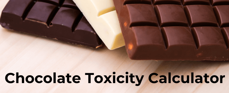 Why Use the Dog Chocolate Toxicity Calculator