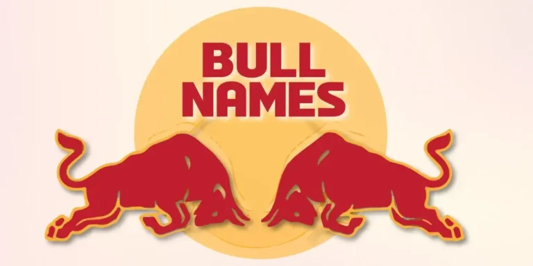 bull names