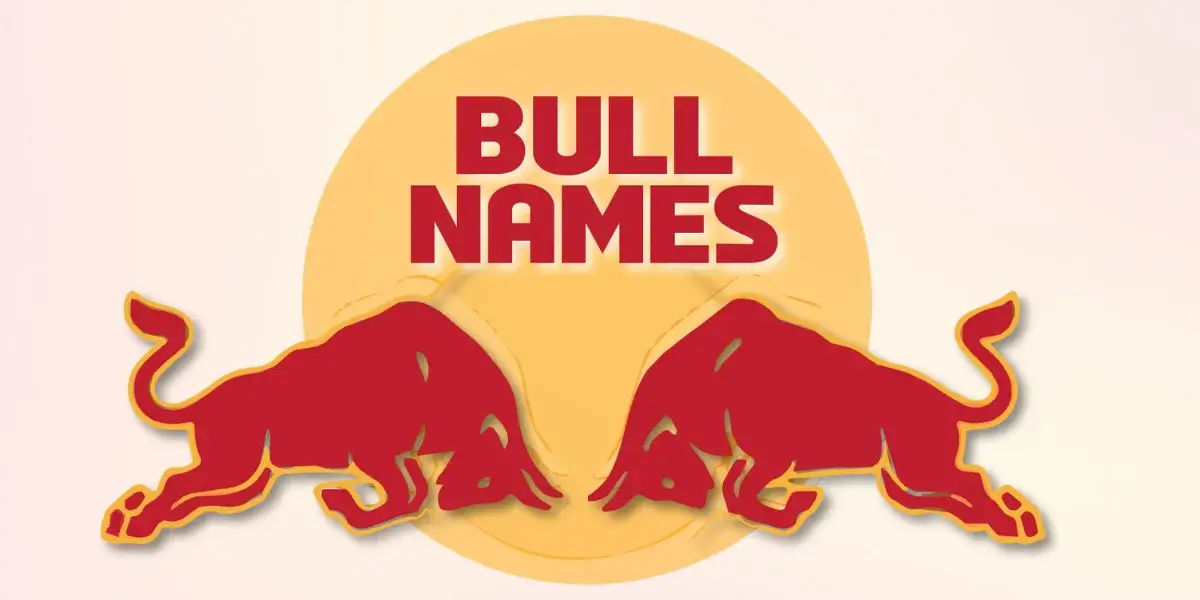 bull names