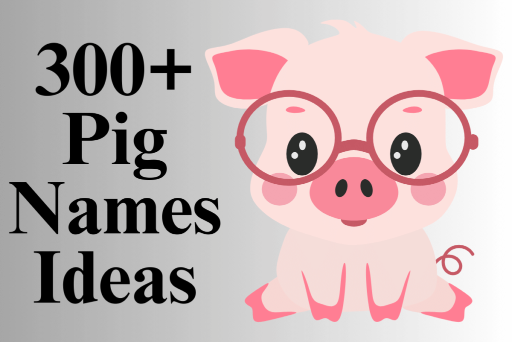 200+ Best Pig Names Unique, Funny, & Famous Names for Pigs