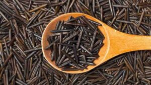 Can Dogs Eat Wild Rice?