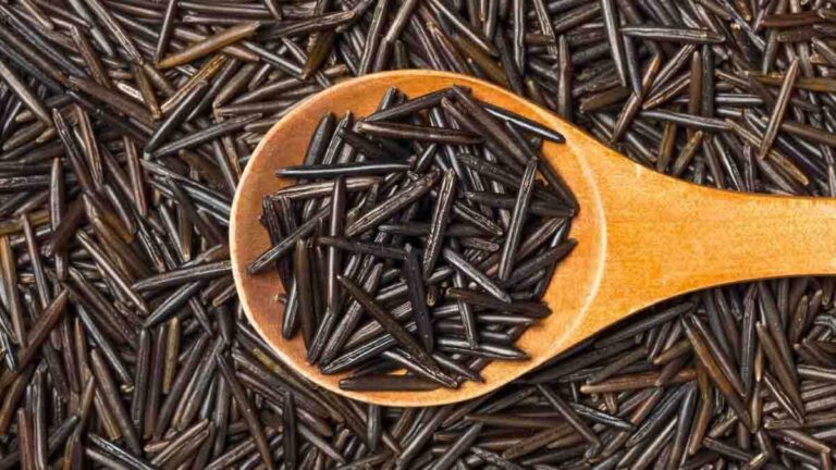 Can Dogs Eat Wild Rice?