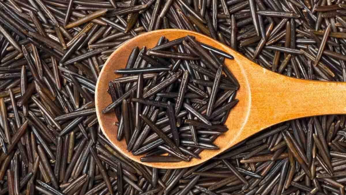 Can Dogs Eat Wild Rice?