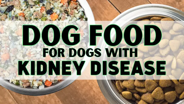 Why Choose a Homemade Dog Kidney Disease Diet?