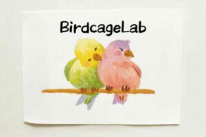 birdcagelab