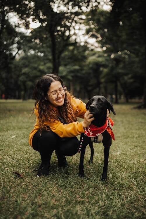 pet care
